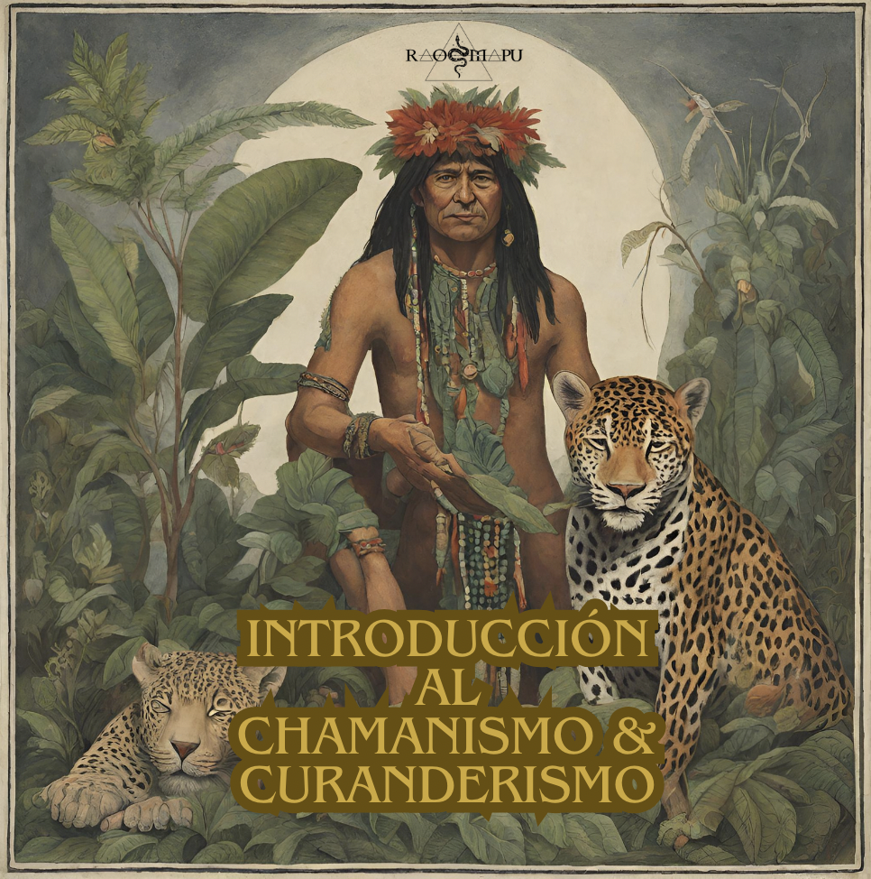 Curso: Introducción al chamanismo & curanderismo